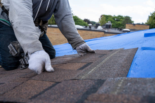 Best Flat Roof Repair Services  in Le Sueur, MN