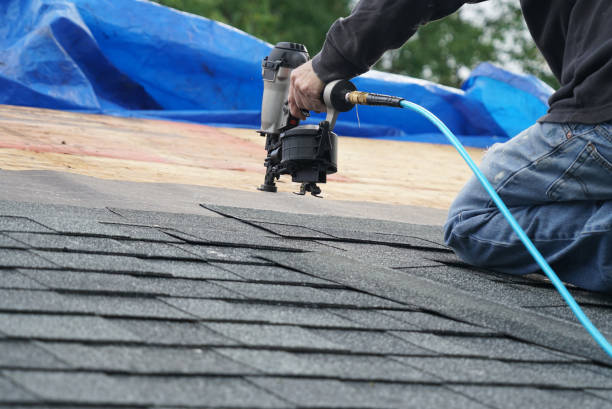 Best Roof Gutter Cleaning  in Le Sueur, MN