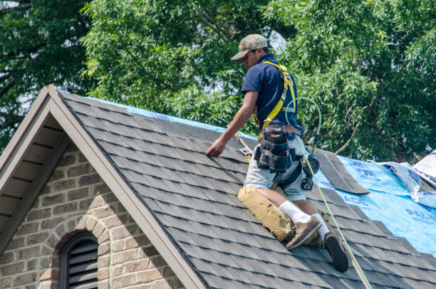 Best Roof Gutter Cleaning  in Le Sueur, MN